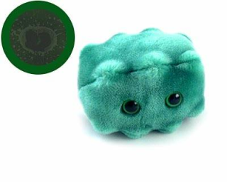 bacteria offensive badbreath Lucu dan Kreatif, Boneka yang Terinspirasi dari Model Bakteri, Virus dan Mikroba