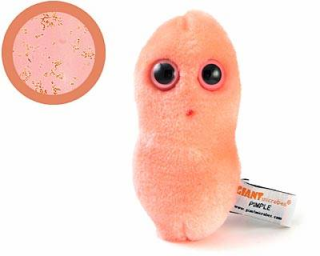 bacteria pimple pustule Lucu dan Kreatif, Boneka yang Terinspirasi dari Model Bakteri, Virus dan Mikroba