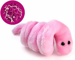 bacteria pox syphilis Lucu dan Kreatif, Boneka yang Terinspirasi dari Model Bakteri, Virus dan Mikroba