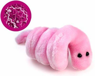 Bakteri,virus & Mikroba Disulap Jadi Boneka Lucu [ www.BlogApaAja.com ]