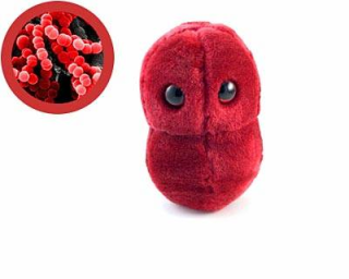 bacteria sorethroat tonsillitis Lucu dan Kreatif, Boneka yang Terinspirasi dari Model Bakteri, Virus dan Mikroba