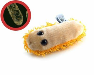 bacteria stomachache dysentery Lucu dan Kreatif, Boneka yang Terinspirasi dari Model Bakteri, Virus dan Mikroba