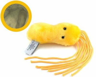 bacteria ulcer Lucu dan Kreatif, Boneka yang Terinspirasi dari Model Bakteri, Virus dan Mikroba