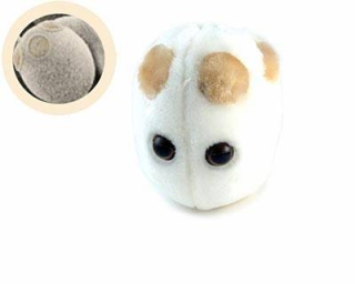 bacteria yeast brewers yeast Lucu dan Kreatif, Boneka yang Terinspirasi dari Model Bakteri, Virus dan Mikroba