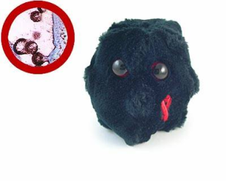 Bakteri,virus & Mikroba Disulap Jadi Boneka Lucu [ www.BlogApaAja.com ]