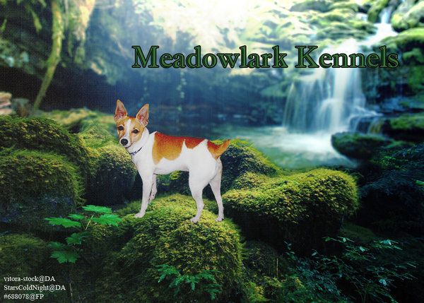 meadowlark_kennels_tft_manip_by_greensmu