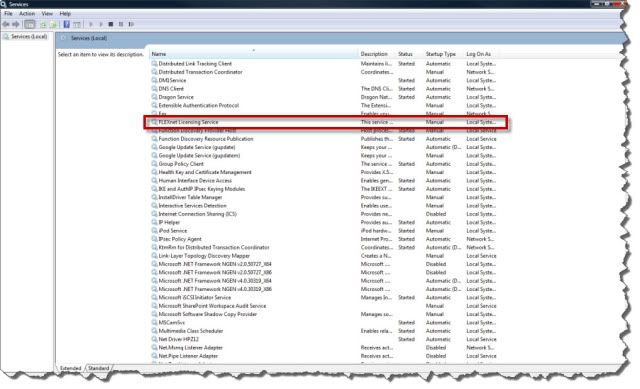 Windows Services screen - FLEXnet Licensing Service