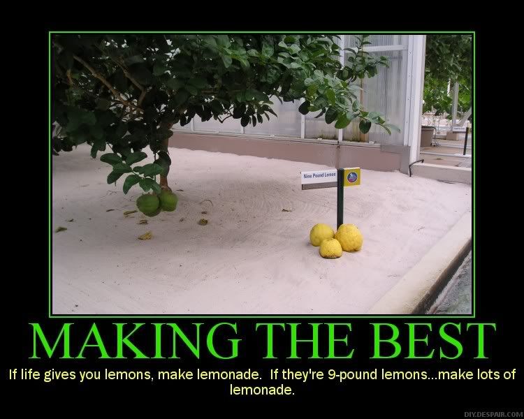 Lemons.jpg