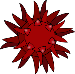 virus