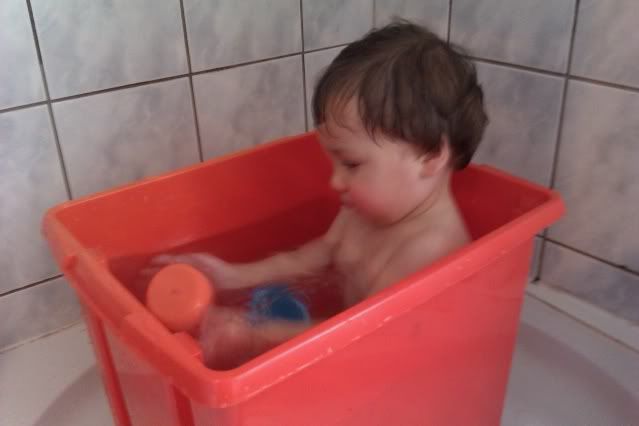 IMAG0054.jpg