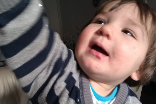 IMAG0339.jpg