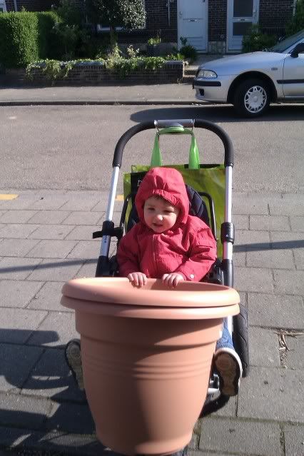 IMAG0466.jpg