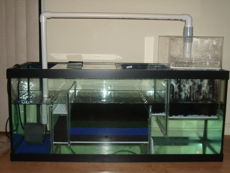 sump for 75 gallon freshwater