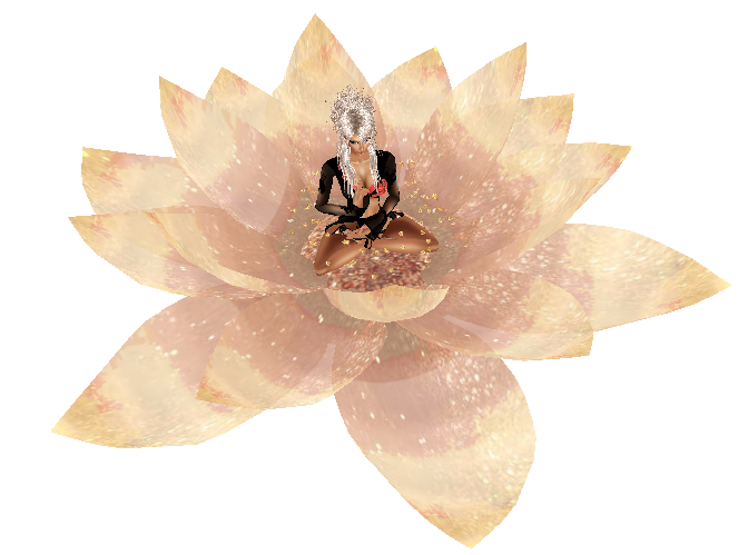  photo Rosegold Lotus Flower Meditation_zps4h2d6god.png