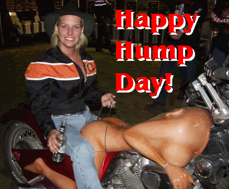 HappyHumpDay.gif