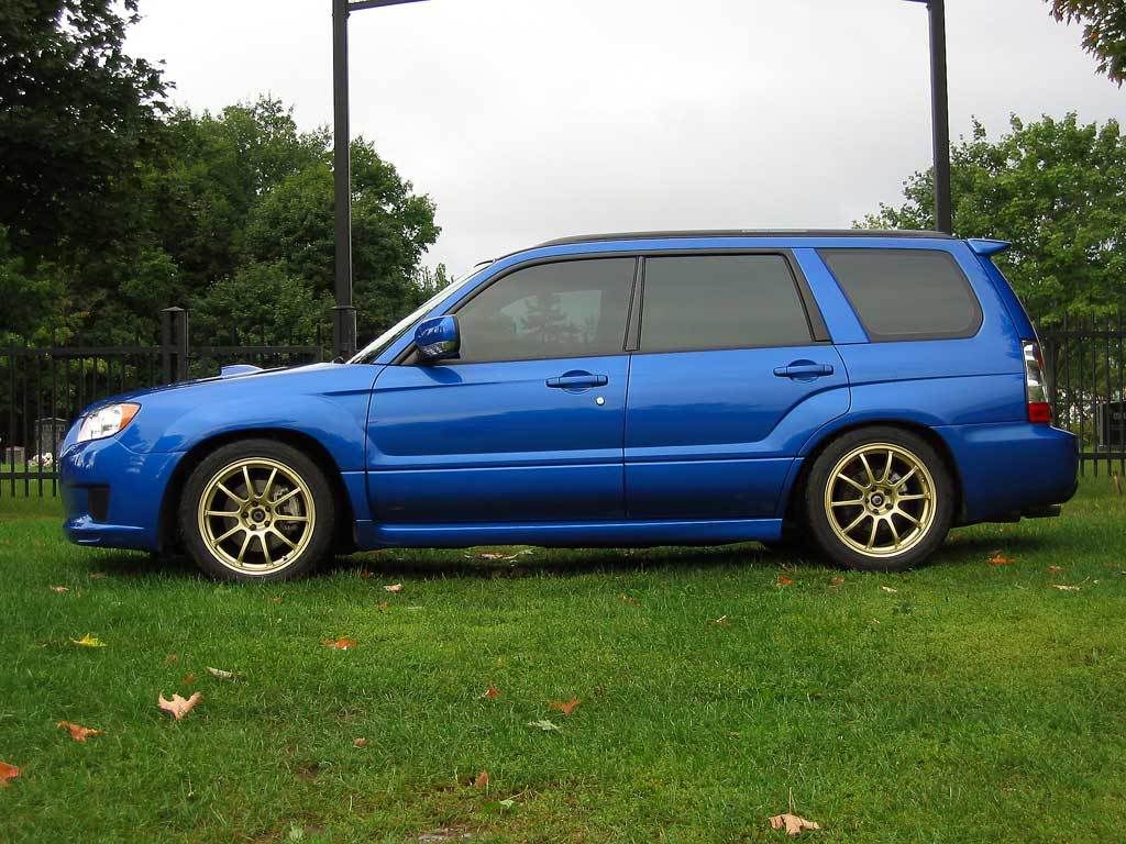 best struts for subaru forester