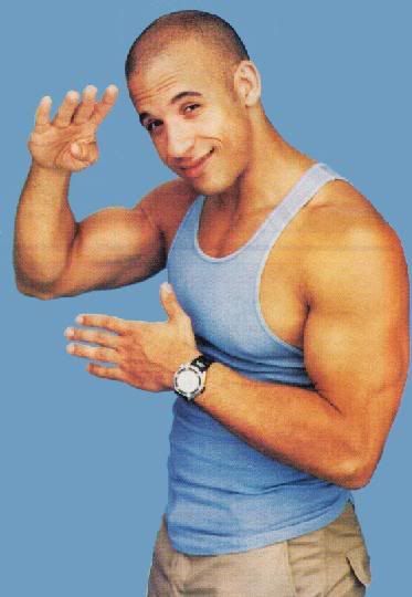 vin diesel boyfriend