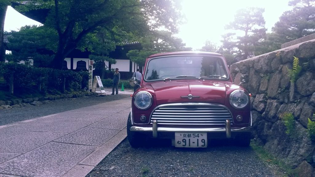 20150627_172238_zpsfm3xlyao.jpg