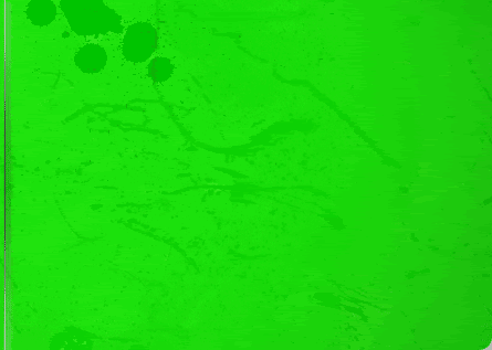 green-paint-top_03.gif