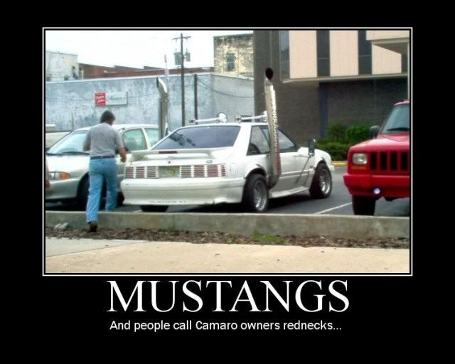 http://i161.photobucket.com/albums/t235/coprunr/motivatorstacksonmustang.jpg