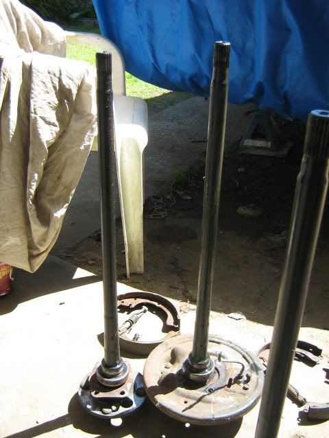 IMG_0531.jpg