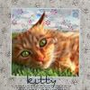 kitty-2.jpg
