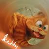 kitty.jpg