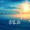 sea2.jpg