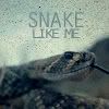 snake.jpg