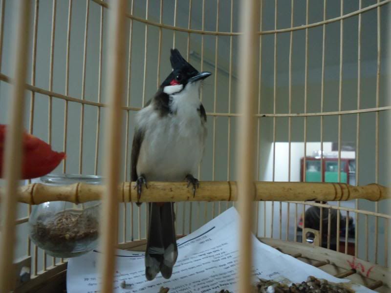 DSC04004.jpg