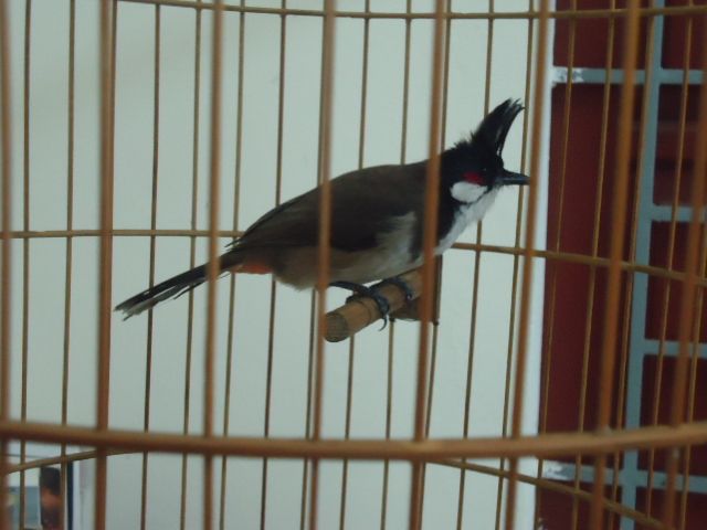 DSC04789.jpg