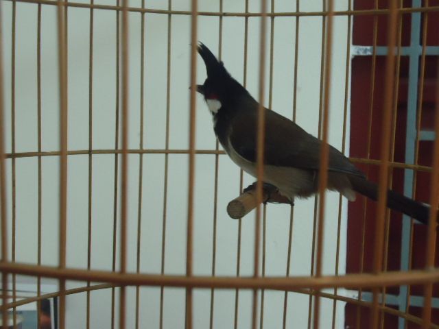DSC04793.jpg