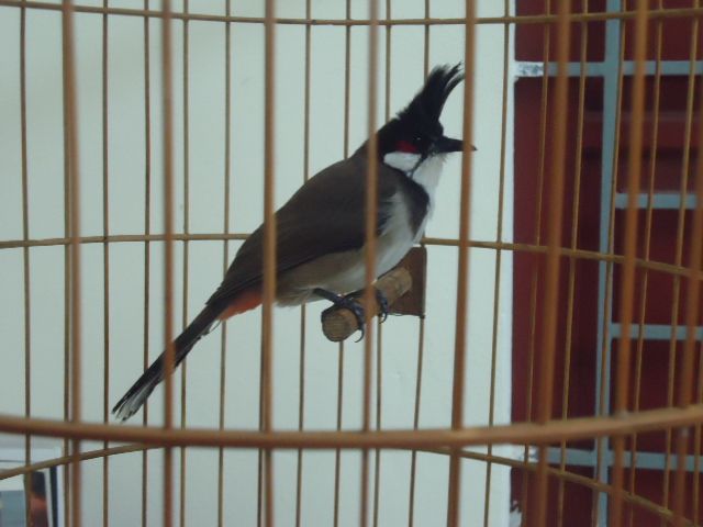 DSC04801.jpg
