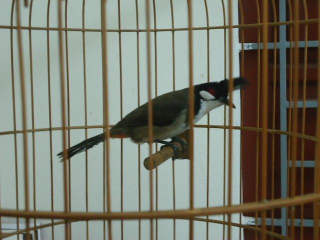 DSC04810.jpg