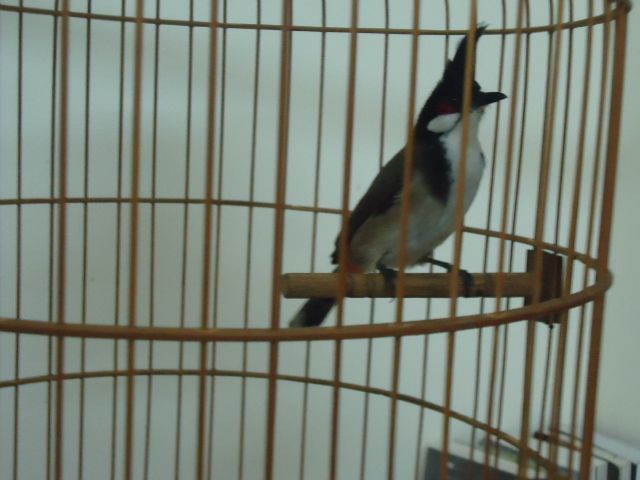 DSC04840.jpg