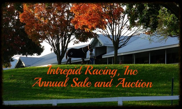 Annual Sale and Auction