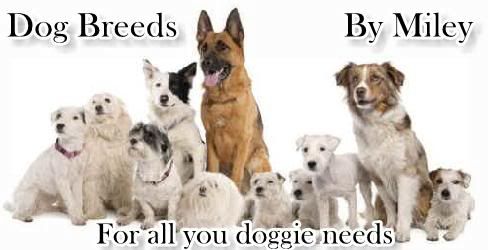 target dog breed. Link to Dog Breeds!