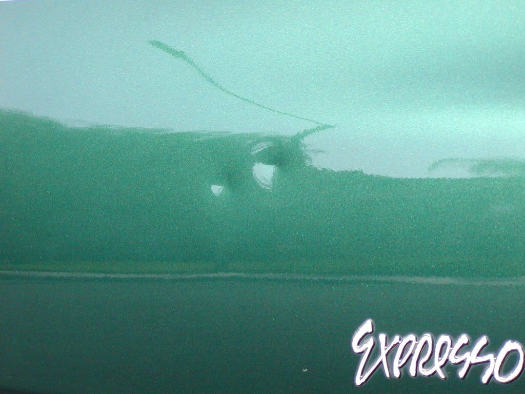 P1010001.jpg