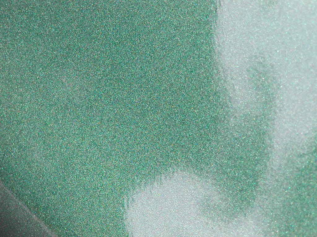 P1010006.jpg