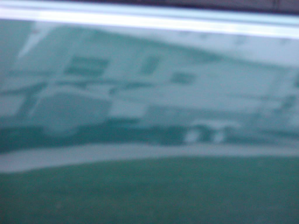 P1010021.jpg
