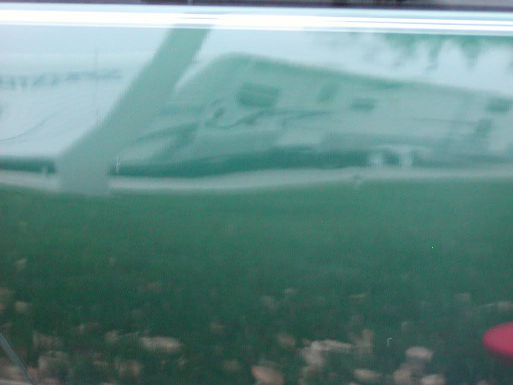 P1010022.jpg
