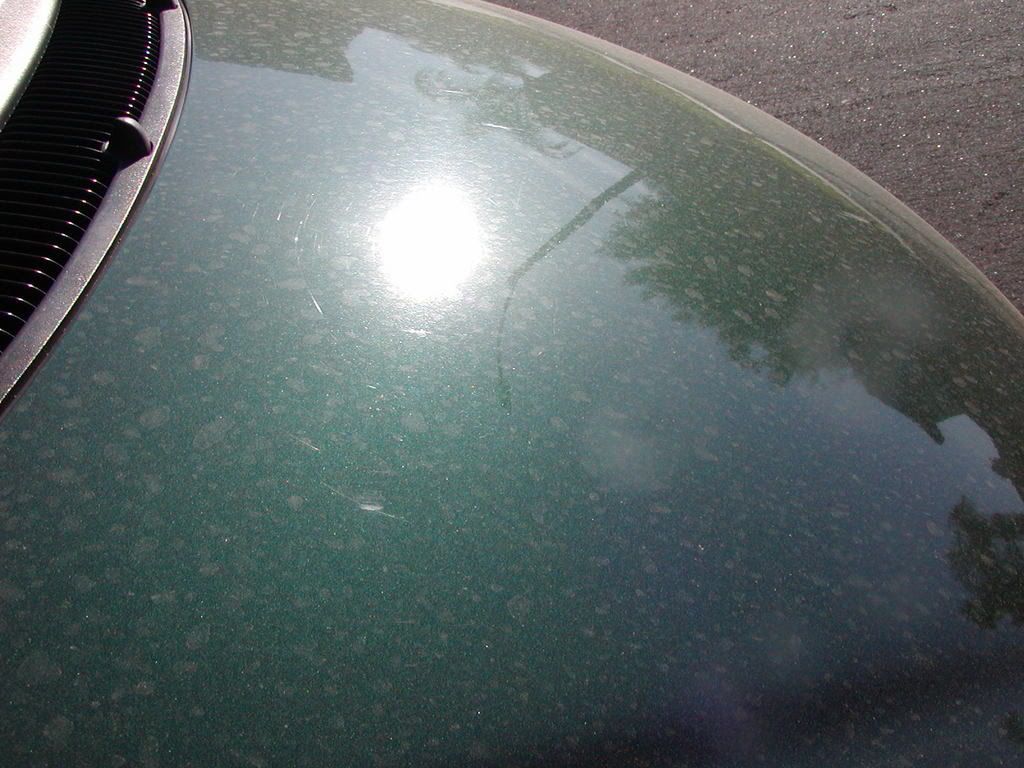 P1010004.jpg
