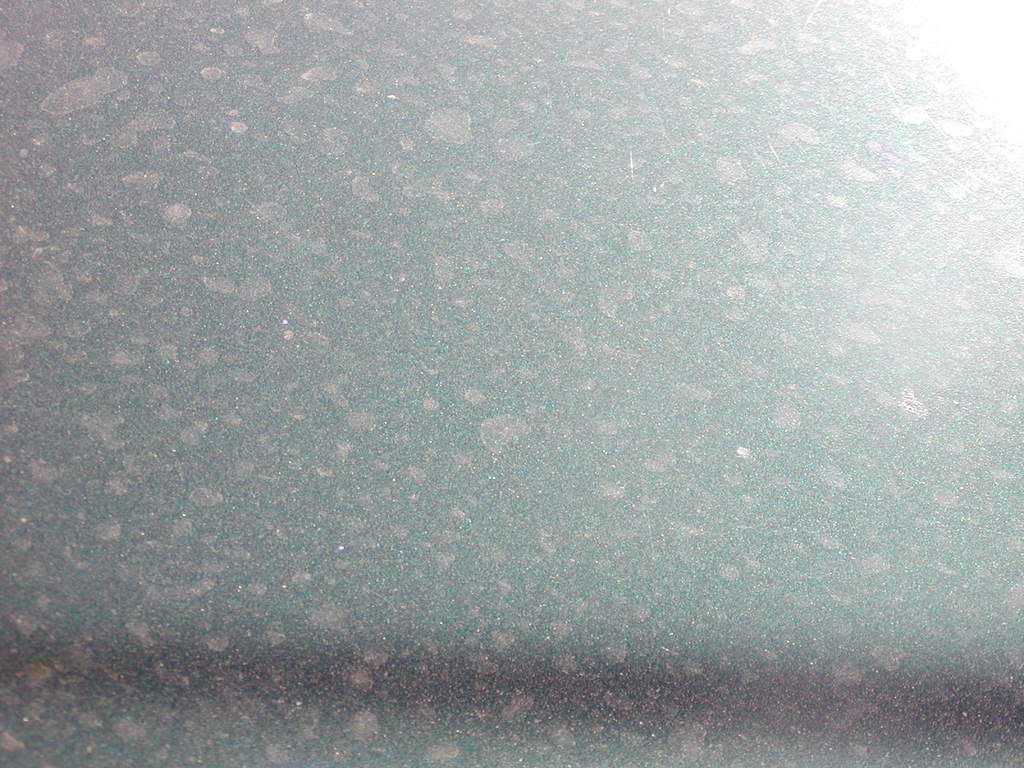 P1010005.jpg