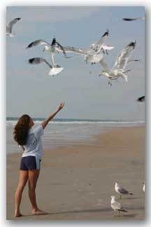 beach Pictures, Images and Photos