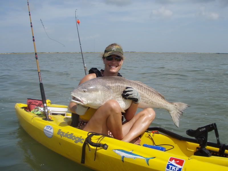 Bull Red Drum