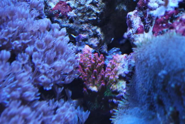 DSC_0363.jpg