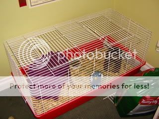 cagepiccies003.jpg