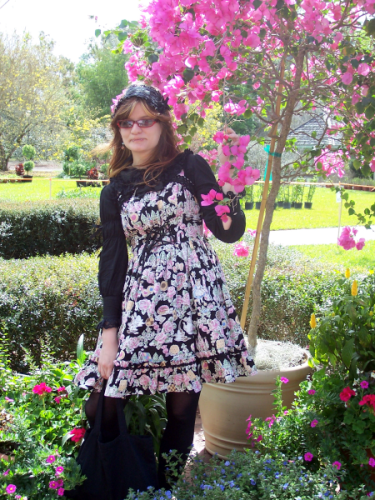Photo Sharing and Video Hosting at Photobucket