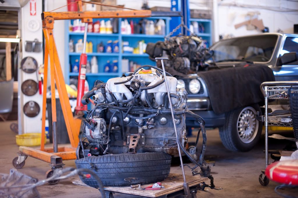 Reggies MotorWorks | Repairing BMW, Audi, Mercedes