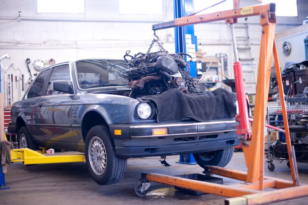 Reggies MotorWorks | Repairing BMW, Audi, Mercedes